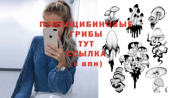 МДПВ Белоозёрский
