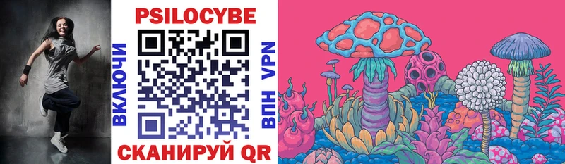 Галлюциногенные грибы Psilocybine cubensis закладки Чайковский